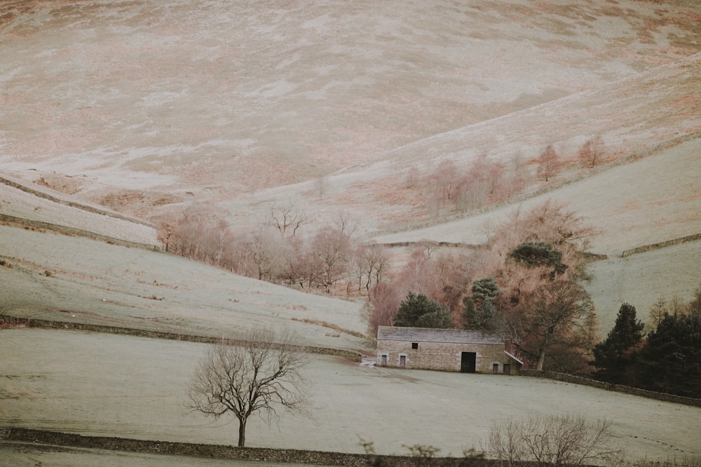 cabin covered with snow