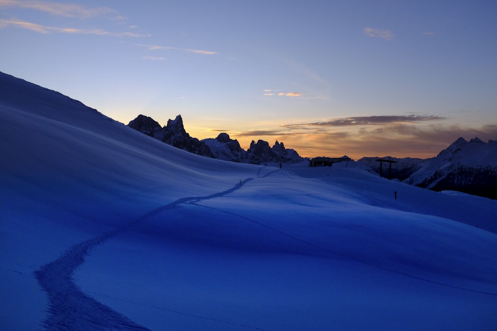 Campo de nieve