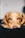 selective focus photography of dog lying on ground