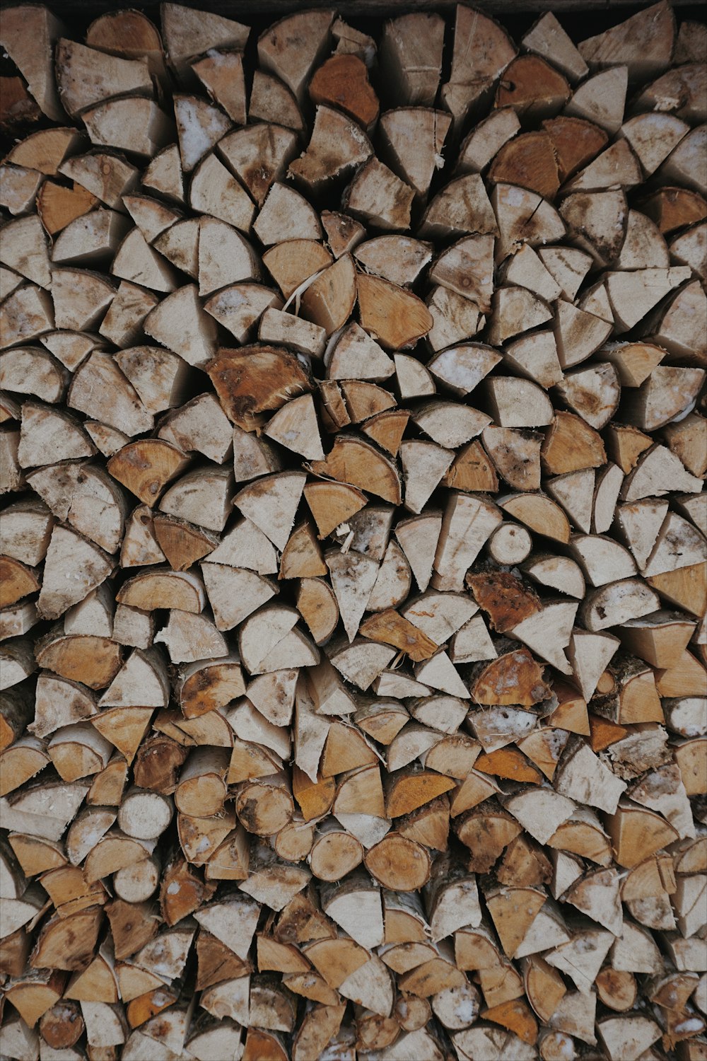 firewood lot