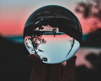 person holding clear crystal ball