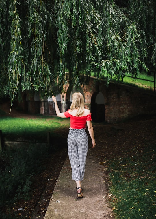 man walking across the isle holding green leaves in Wollaton United Kingdom