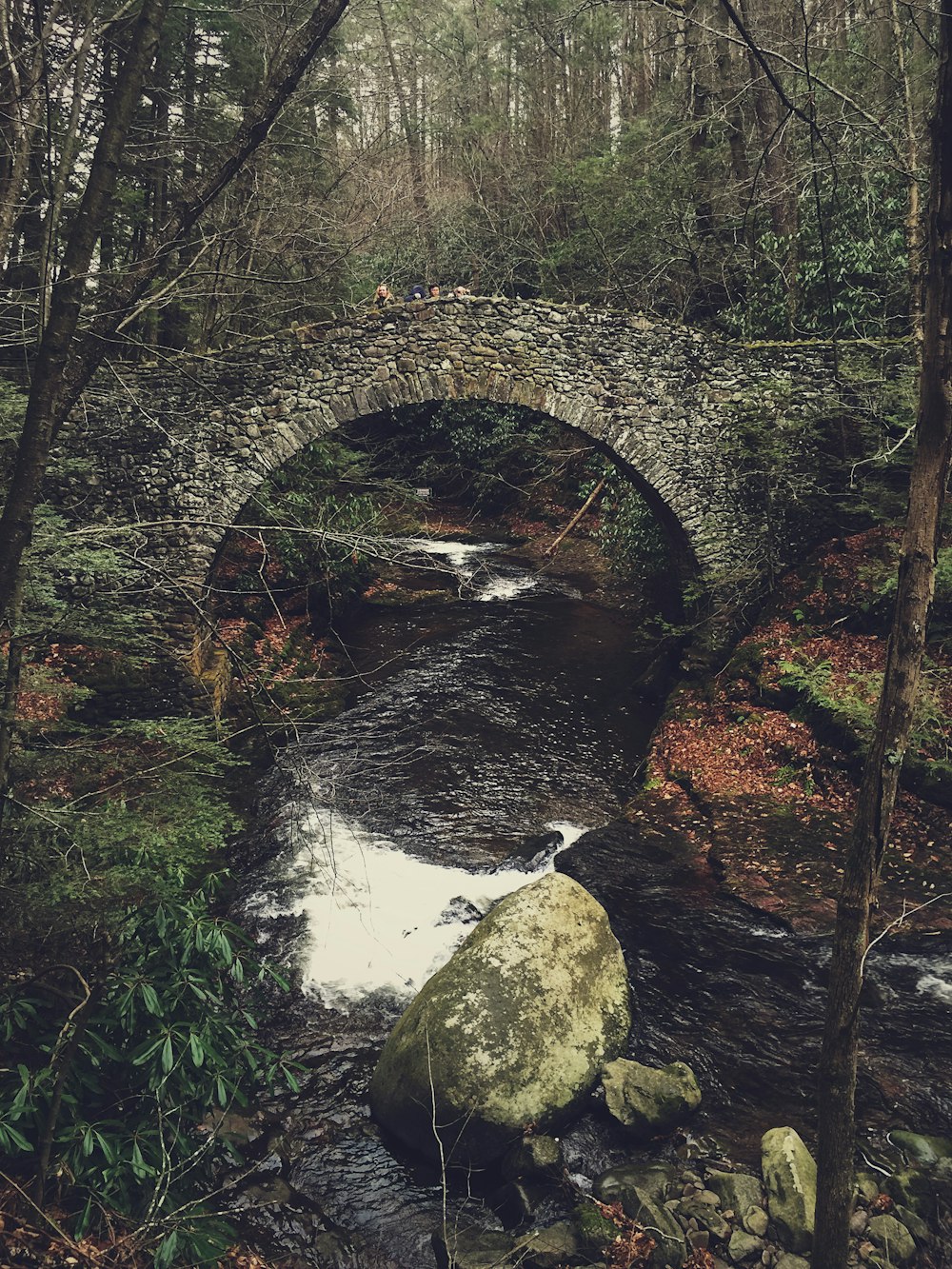 people over bridge