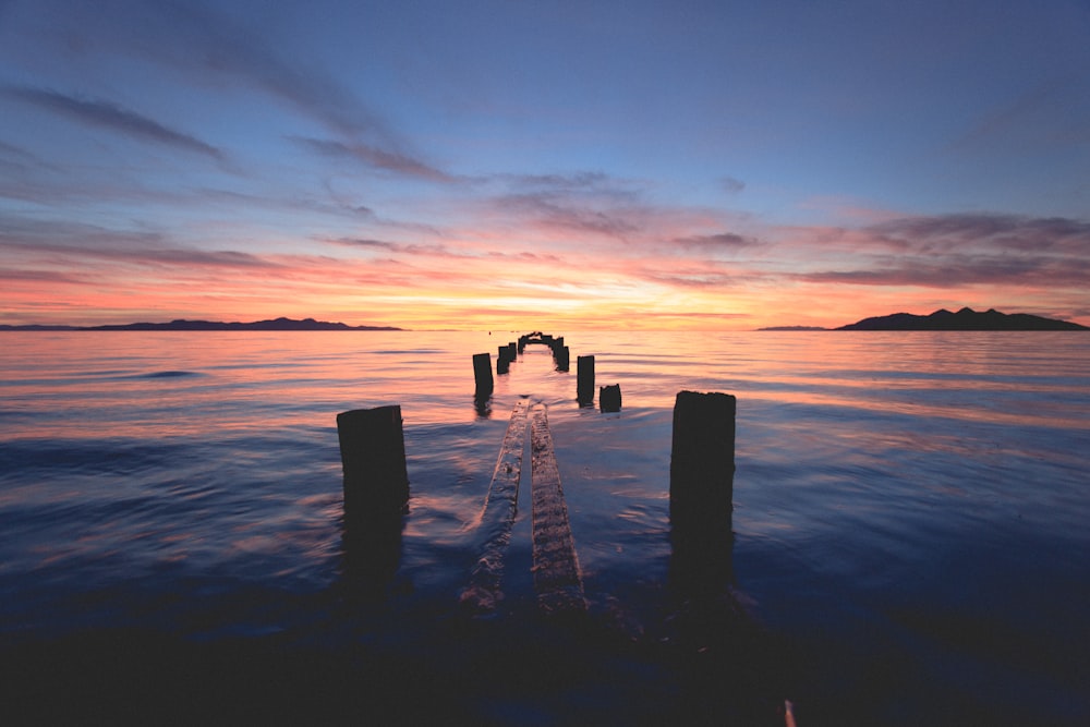 scenery of wooden dock bridge