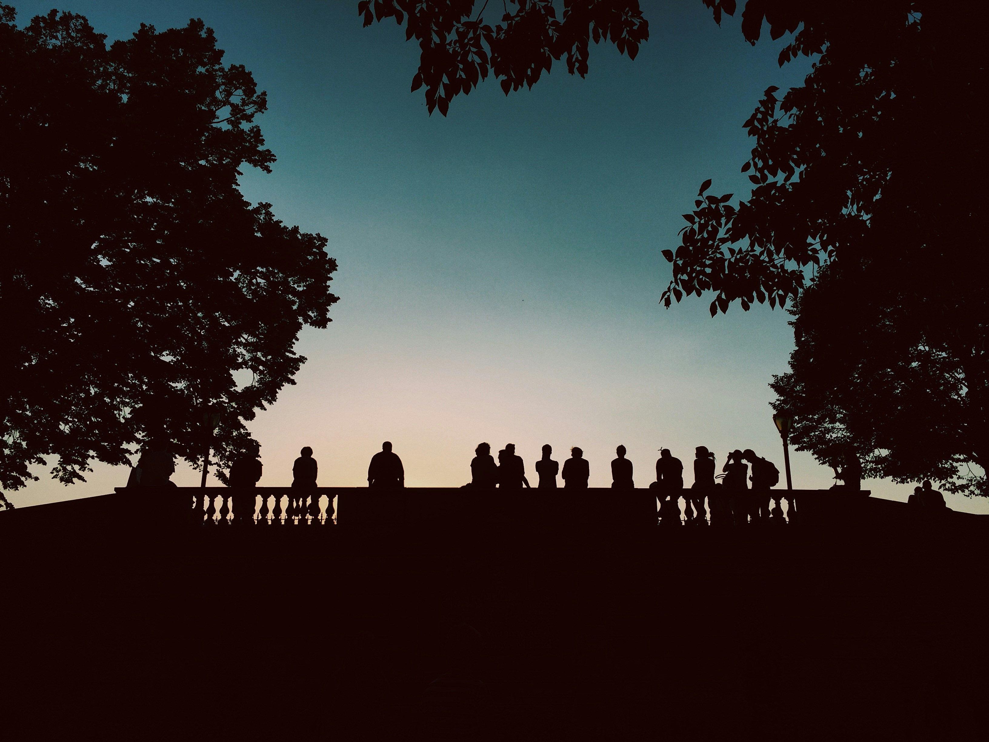 silhouette of people standing beside bridge during blue hour, 