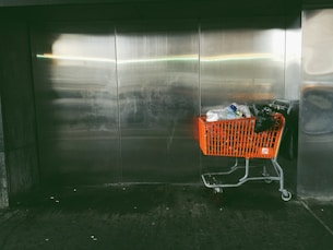 plastic packs in shopping card