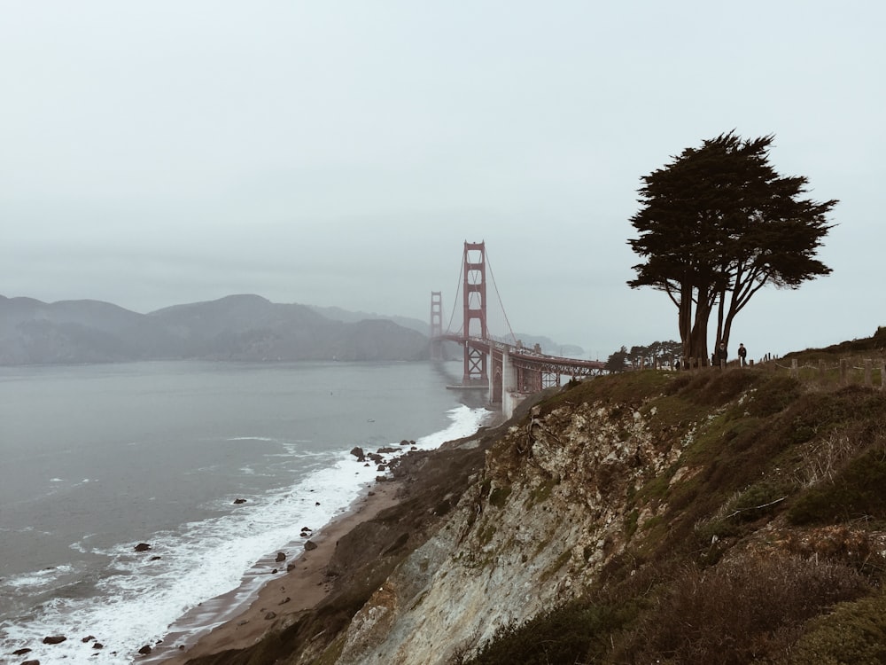 bridge near body of water and near mountain