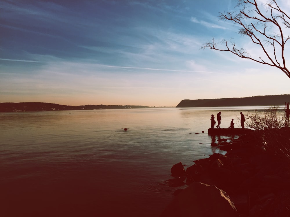 body of water near dock