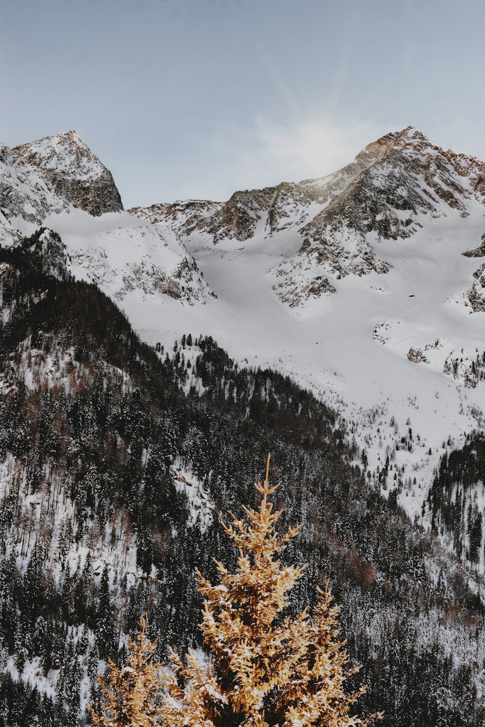 montagne brune enneigée pendant la journée