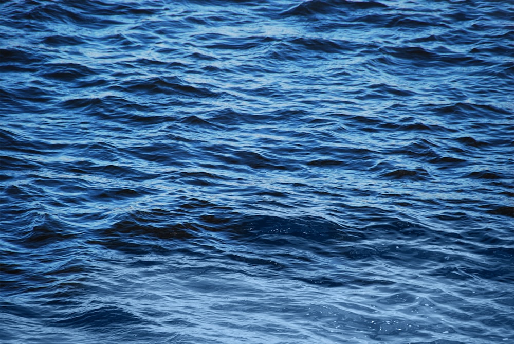 dark blue sea background