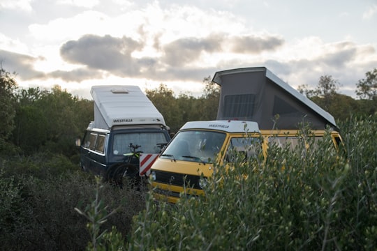 yellow and black vans in forest in Sardinia Italy