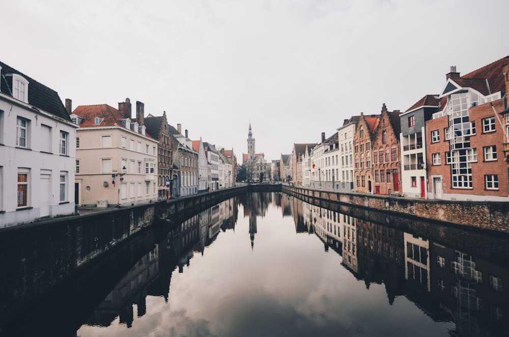 rivière entre les maisons pendant la journée