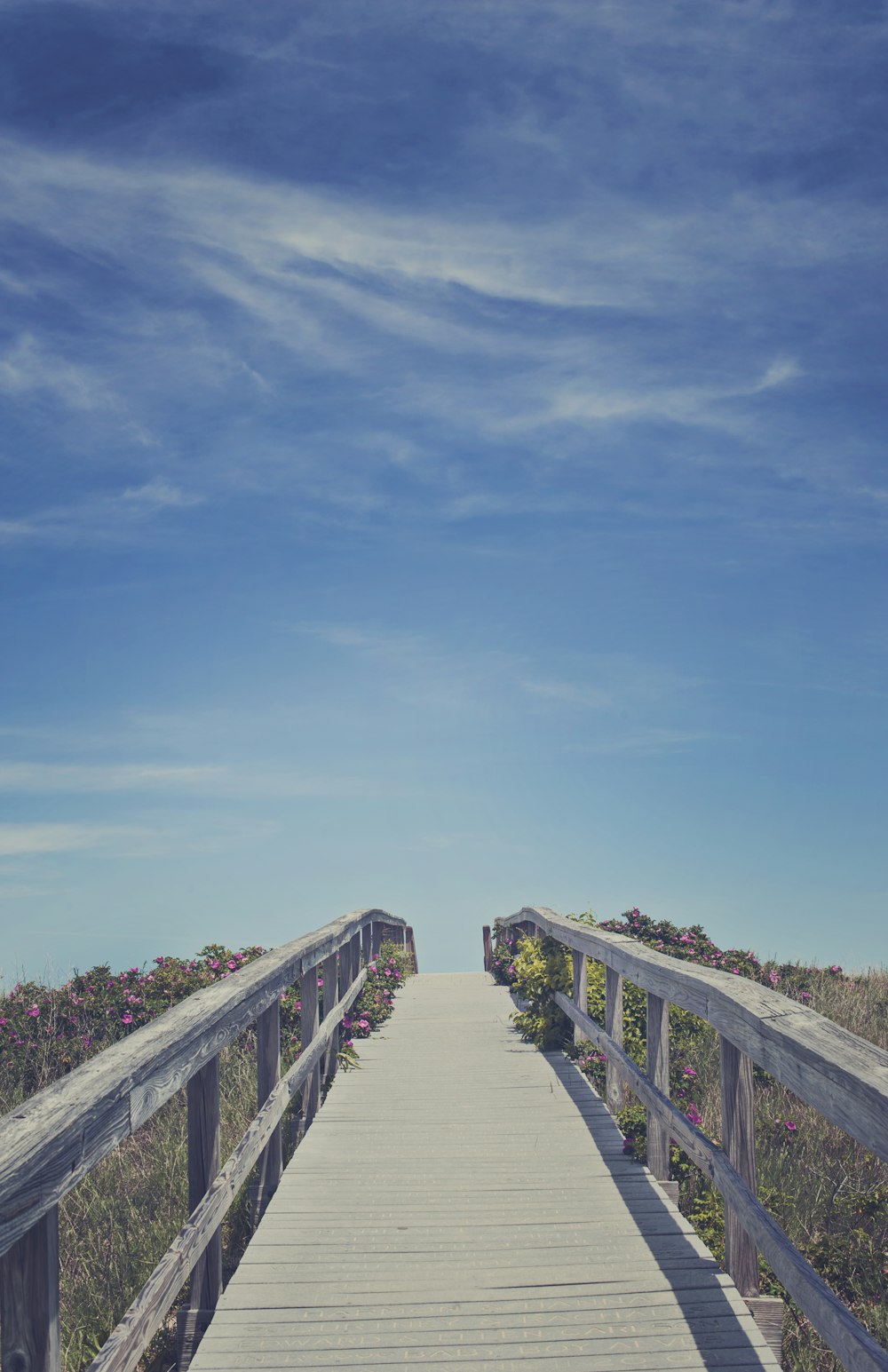 ponte de madeira marrom