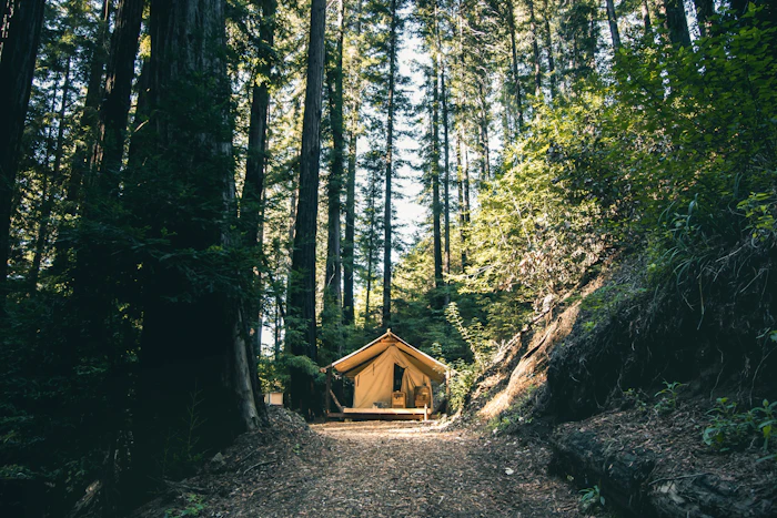 Unique Glamping Spots