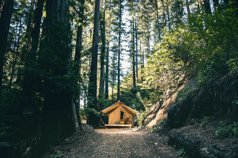 Best Glamping Spots Near Sur for a Night Under the Stars
