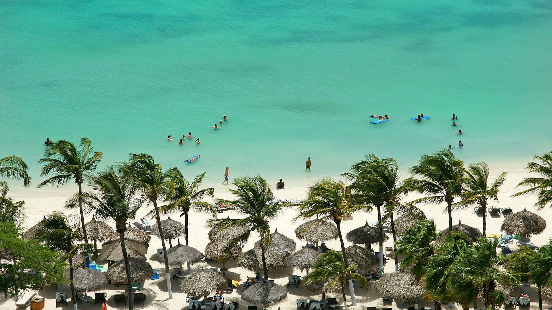 aerial photo of people at the beach during daytime
