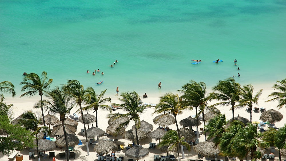 aerial photo of people at the beach during daytime