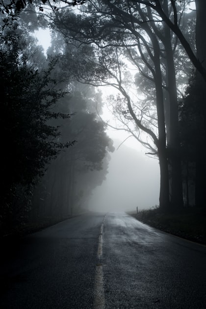 Coping With Grief and Loss: Understanding and Healing After Bereavement