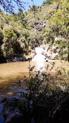 A serene waterfall cascades into a calm pool surrounded by lush greenery and dense forest. Sunlight filters through the trees, creating dappled patterns on the water's surface. The area is filled with natural beauty and offers a tranquil escape into nature.