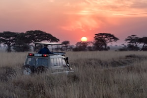 Tourists Experiencing a Safari in South Africa