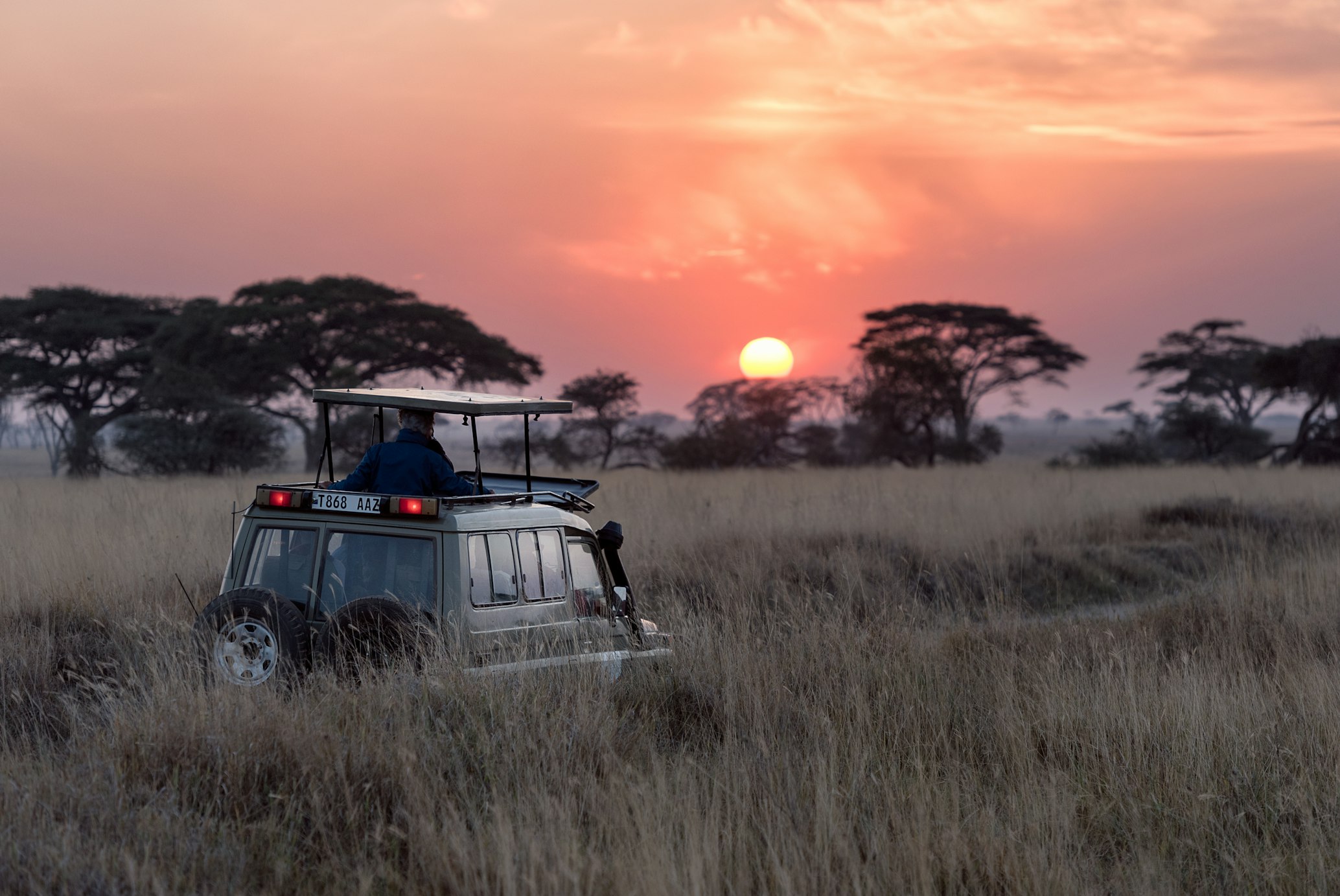 Una macchina durante un safari al tramonto