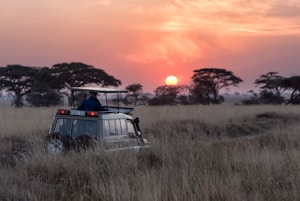 African sunset