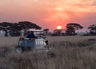 man riding on gray car during sunset