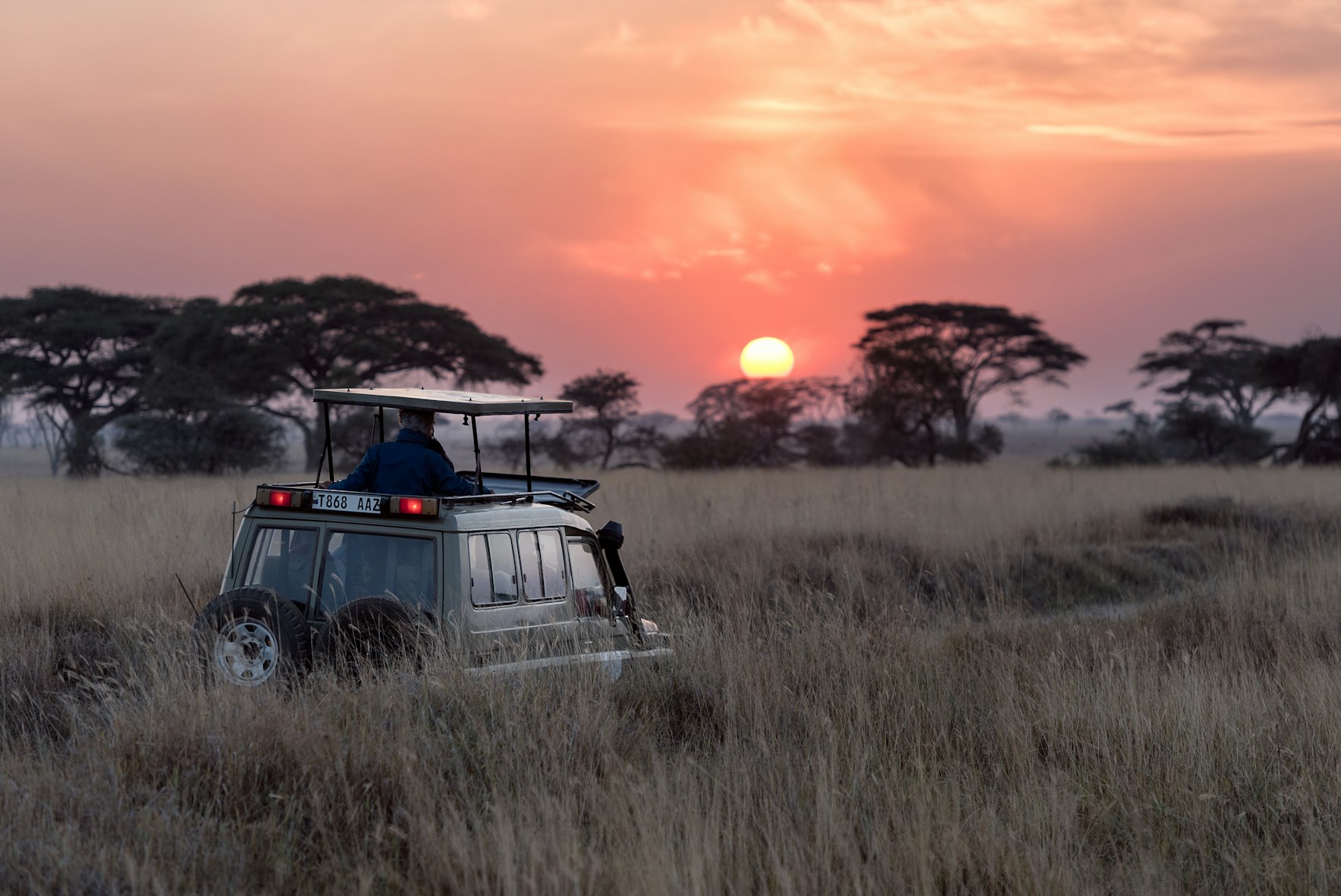 A jeep on Safari in the bush