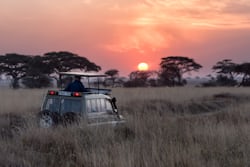 Tanzania safari