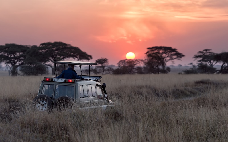 Giraffe at Nairobi National Park with city skyline