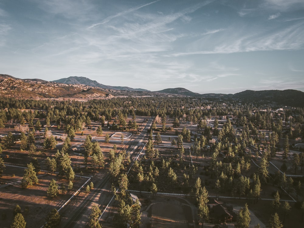 aerial photography of road at subdivision with trees during cloudy skies