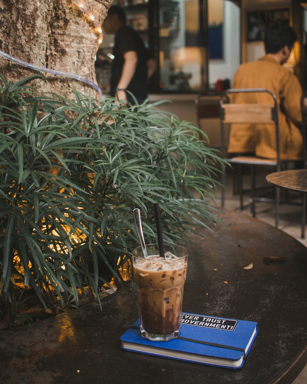 drinking glass on top of the book near the plant