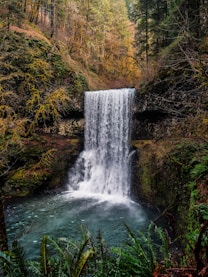 scenery of waterfalls