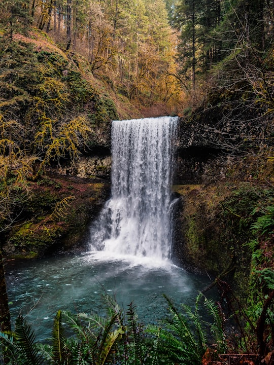 scenery of waterfalls in Silver Falls State Park United States