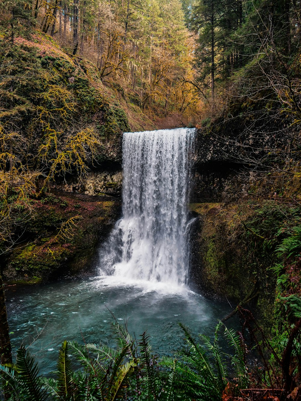 scenery of waterfalls