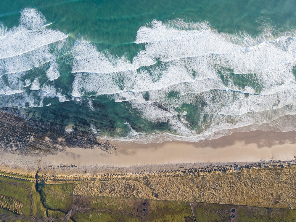 aerial photo of sea shore