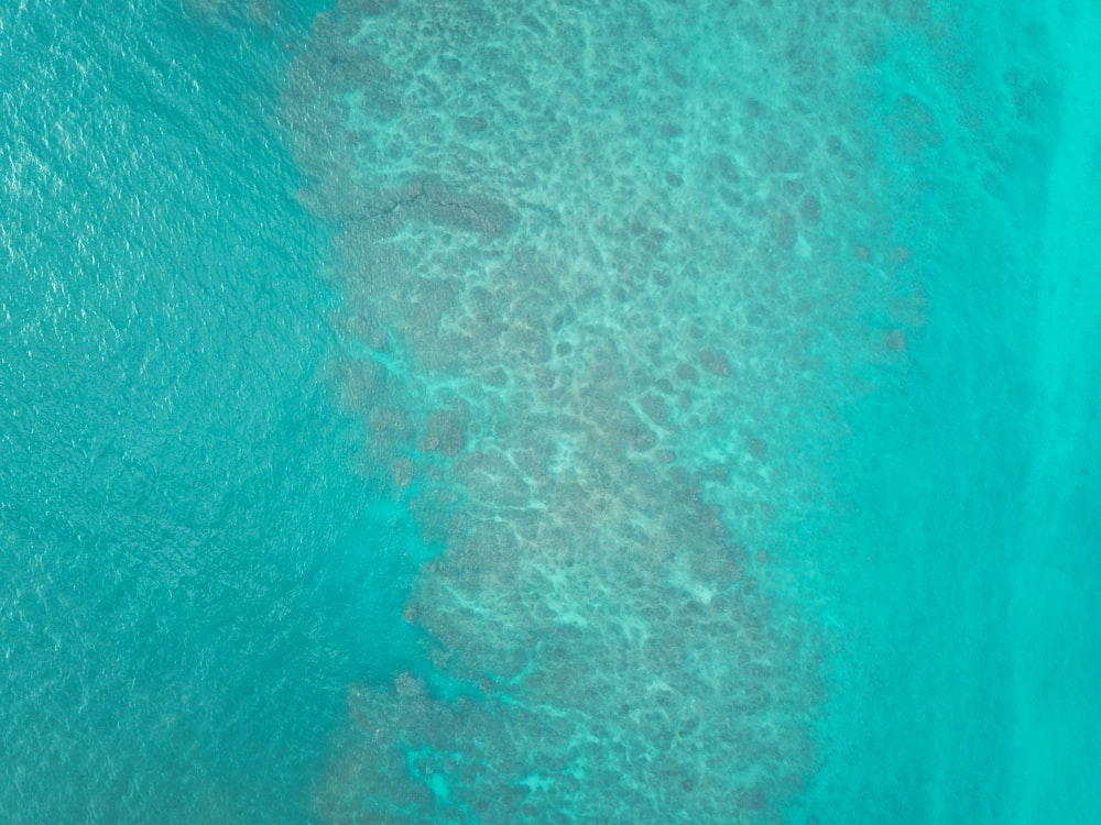 top-view of body of water