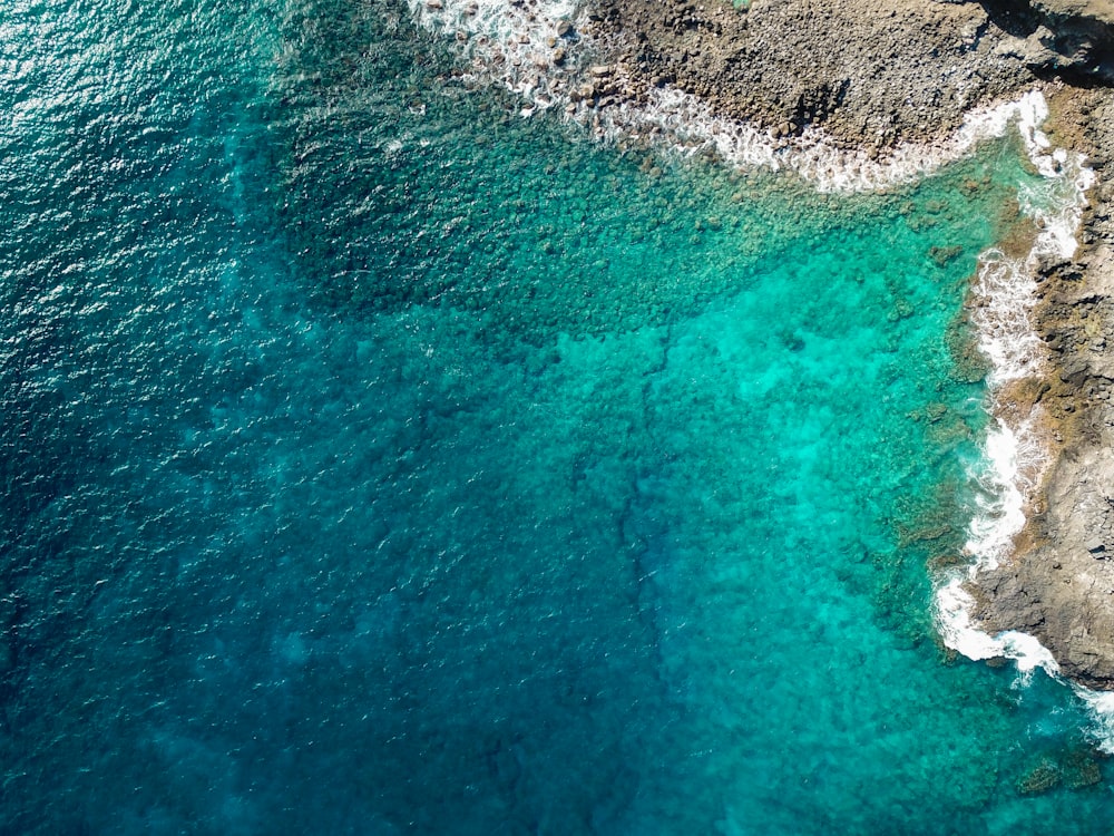 aerial photography of shoreline