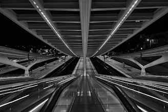 An international project’s stand with bold geometry, clean surfaces, and professional lighting capturing attention from afar.