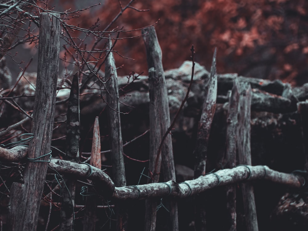 brown wooden fence