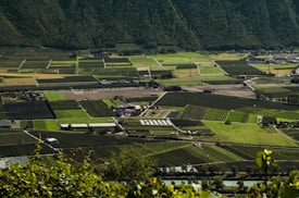 A sprawling landscape of agricultural fields neatly divided into various plots, with shades of green and brown. The fields are bordered by lush, forested hills in the background. A few buildings and structures are scattered across the farmland, and a river can be seen winding through the valley.
