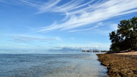A serene beach scene with calm waters gently lapping at the rocky shore. Overwater bungalows are visible in the distance, set against a backdrop of distant mountains. The sky is a brilliant blue, streaked with wispy clouds, and lush green trees line the right-hand side of the beach.