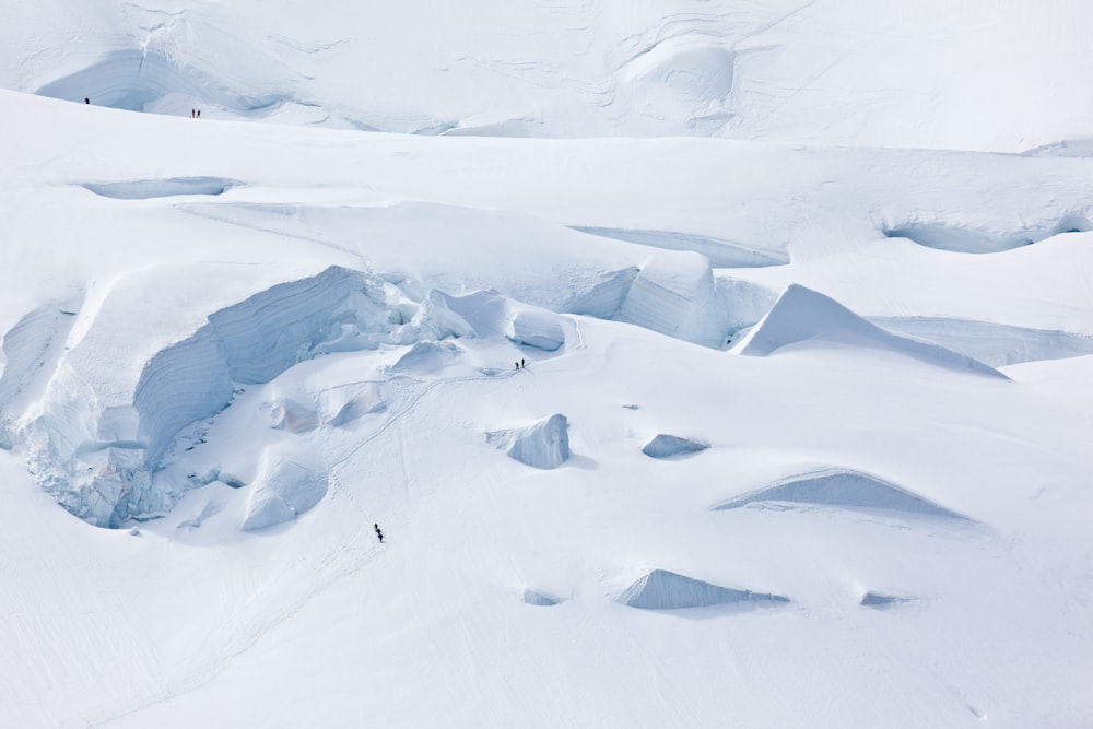 people on snow covered ground during daytime