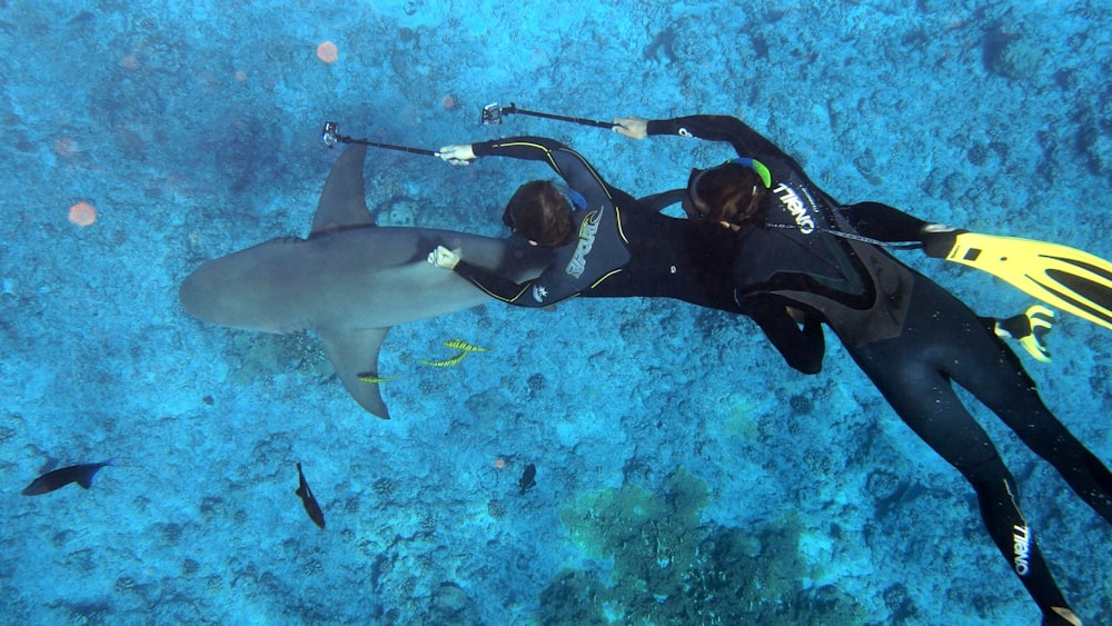 Dos buzos tomando foto de tiburón