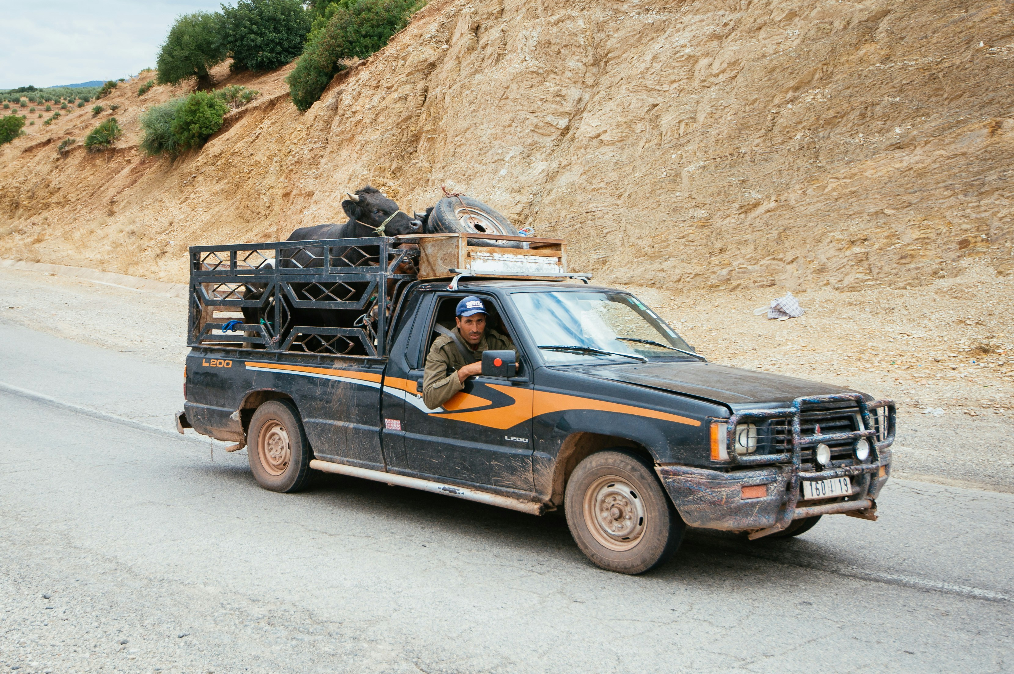 In my country of the Netherlands we have rules for almost everything. Where to drive what, how to load trailers, maximum vehicle weight and animal transportation permits. Imagine our surprise when we saw old, loud trucks climbing the mountains with goats, cows, chickens and even camels.