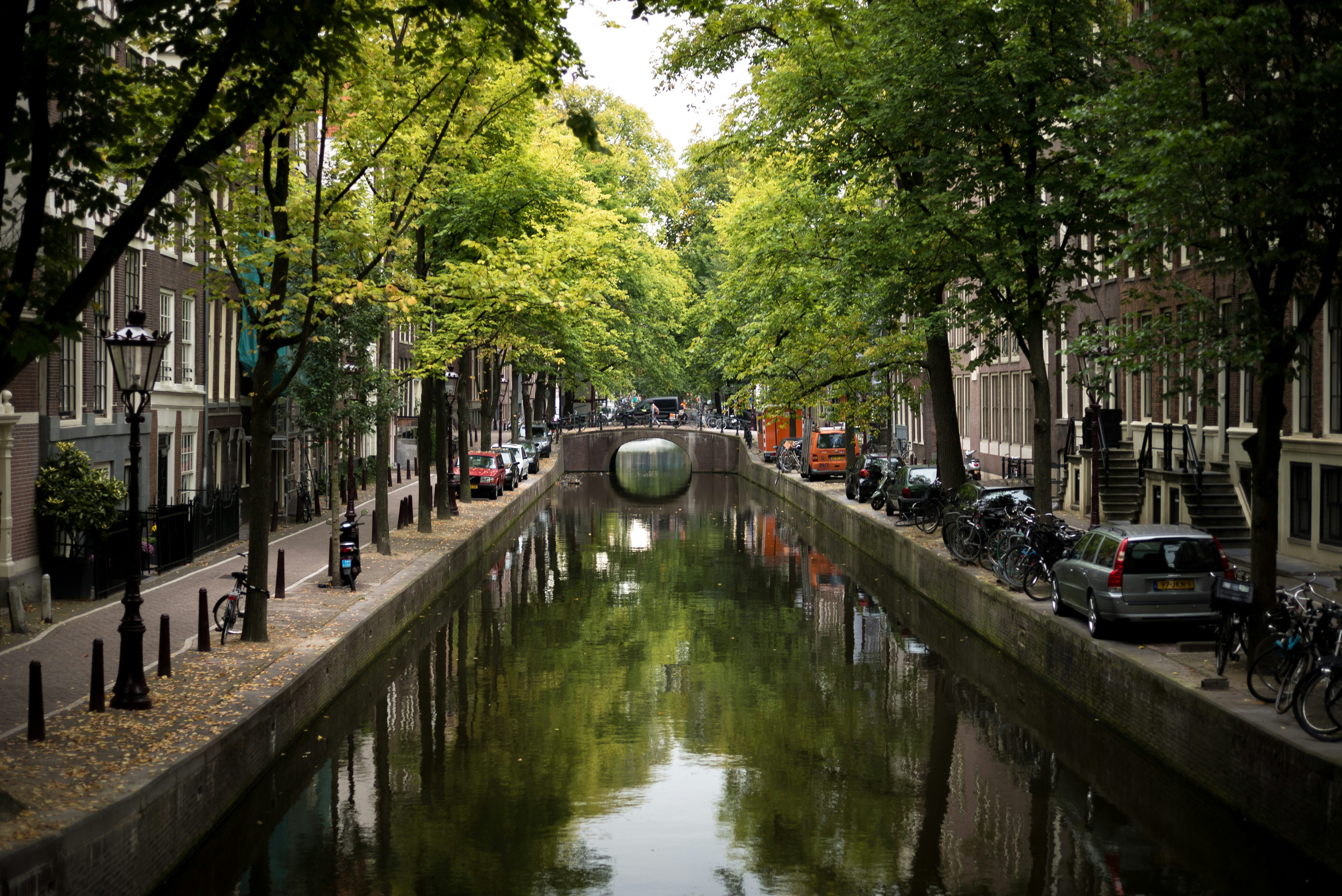 Amsterdam, Places to Visit in Europe in August