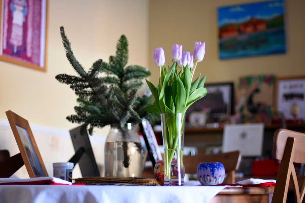 purple tulips on clear glass vase above table