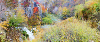 Vibrant autumn foliage framing the steep canyon walls at Yellowstone.
