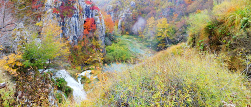 Vibrant autumn foliage framing the steep canyon walls at Yellowstone.