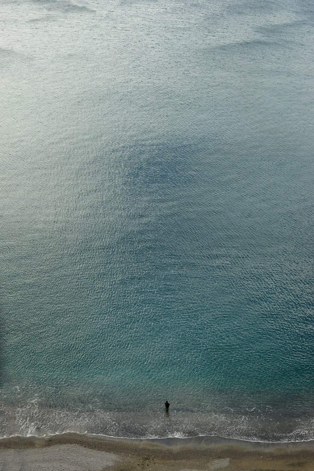 person standing on shoreline